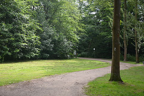 Wege im Emsauenpark